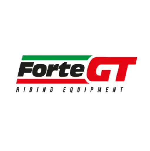 FORTE GT 